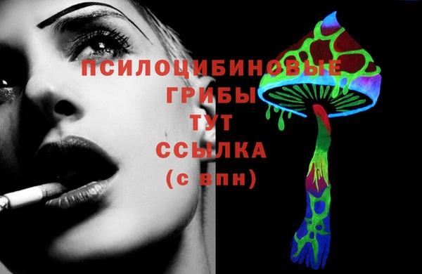 spice Заводоуковск