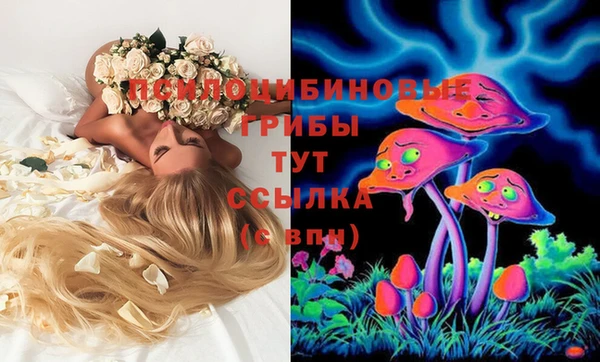твердый Зерноград