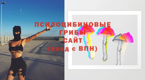 spice Заводоуковск